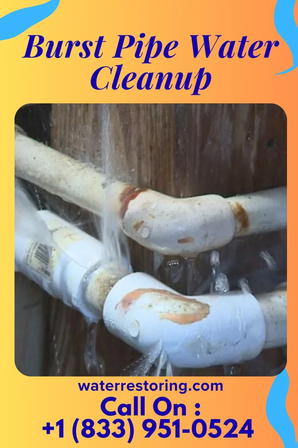 Burst Pipe Water Cleanup in Clarkston, WA