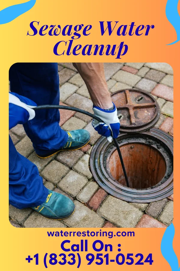 Sewage Water Cleanup in Clarkston, WA