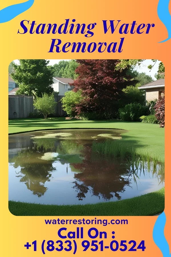 Standing Water Removal in Clarkston, WA